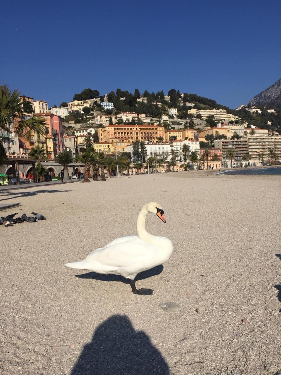 Appartement Central Des Terres Chaudes Proche Bord De Mer Menton Luaran gambar